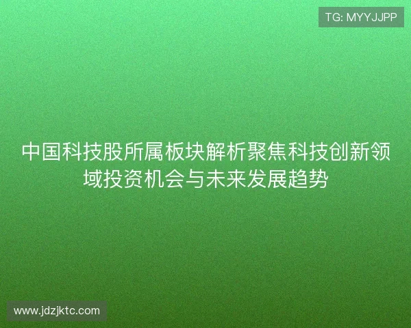 中国科技股所属板块解析聚焦科技创新领域投资机会与未来发展趋势
